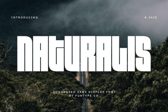 Naturalis: The Modern Typeface for Scroll-Stopping Campaigns